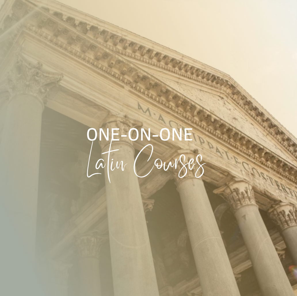 One-on-one Latin Courses